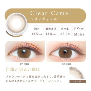 Ever Color 1day Natural 11選色 日拋 每盒20片